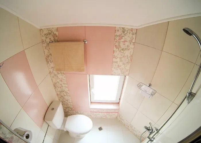 Vitosha Blvd - Attic * Sofia